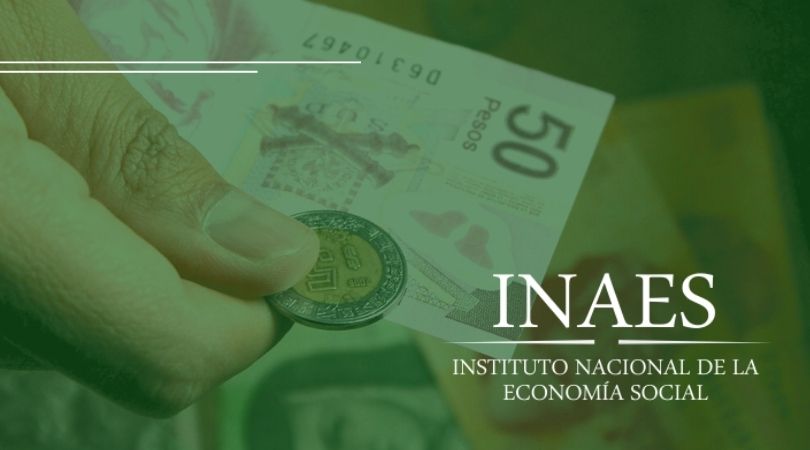 inaes