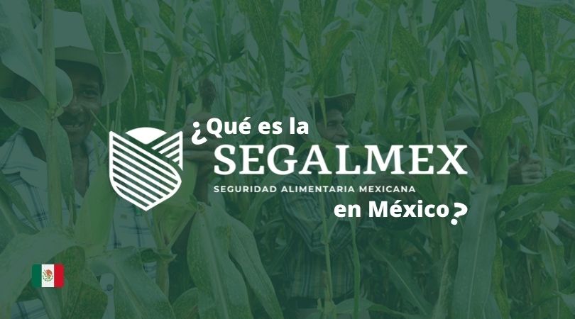 SEGALMEX mexico